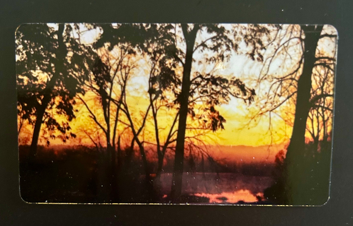 Magnet - Sunrise with Trees