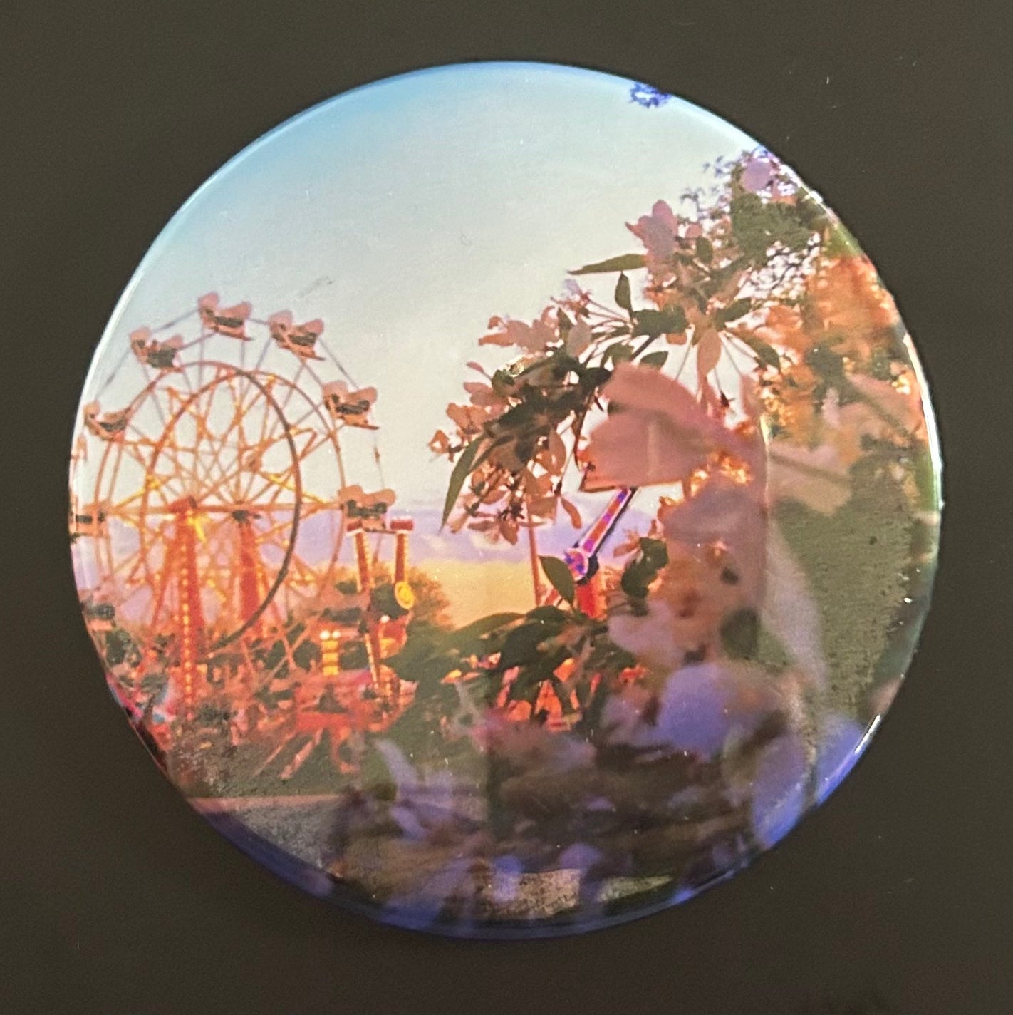 Button - Ferris Wheel and Flowers