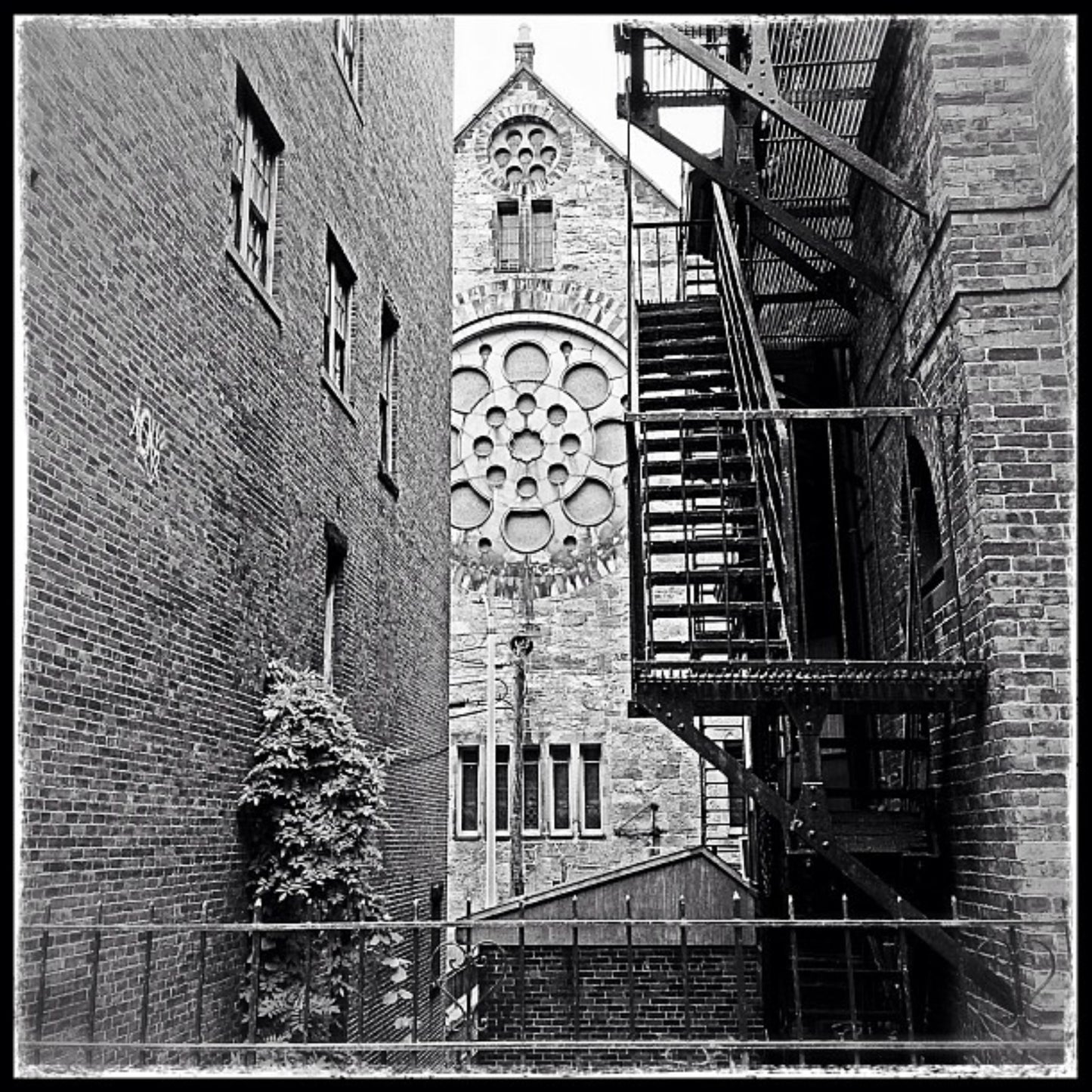12x12 Black and White Buildings with Rose Window - Boston, MA