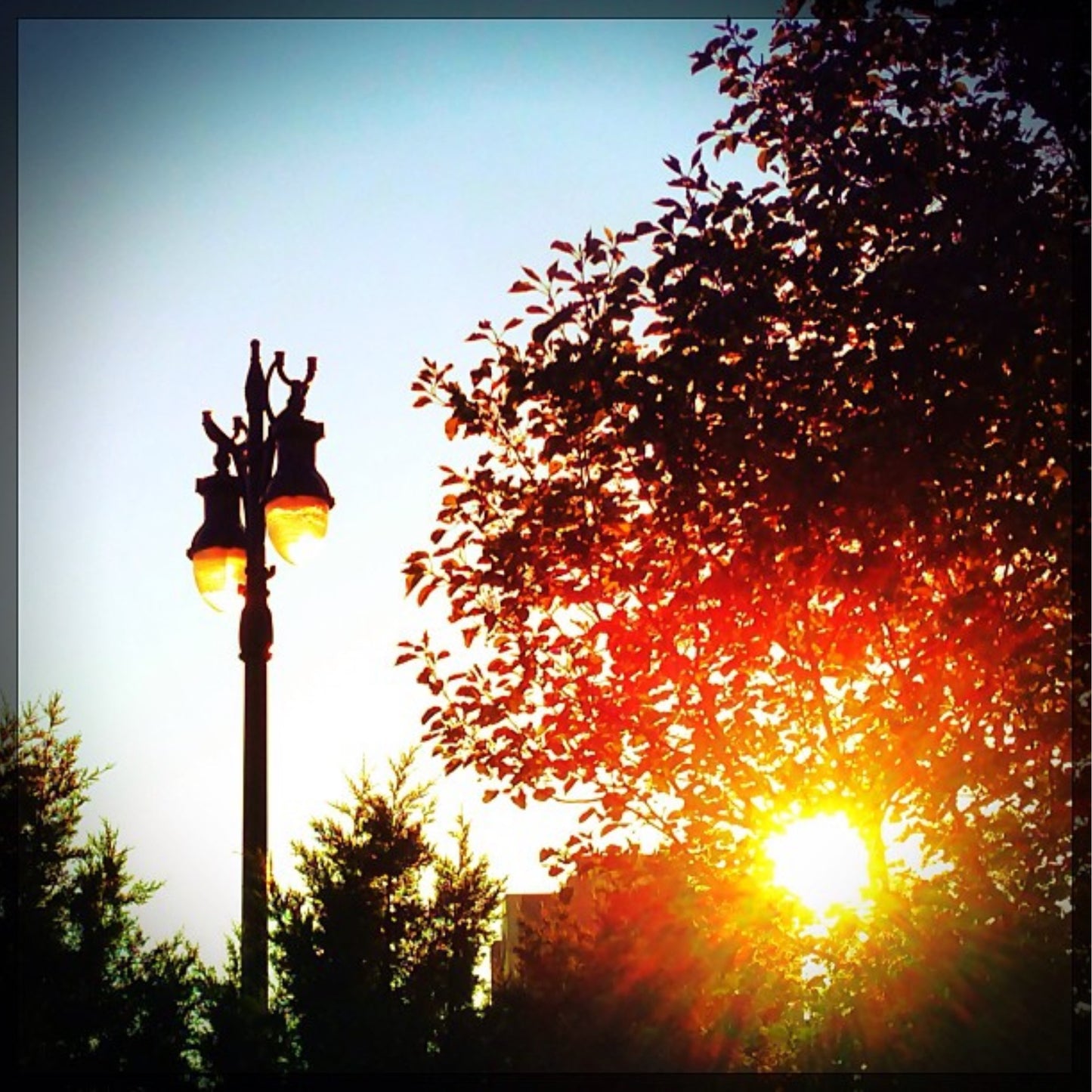12x12 Streetlight at Sunset - Detroit MI