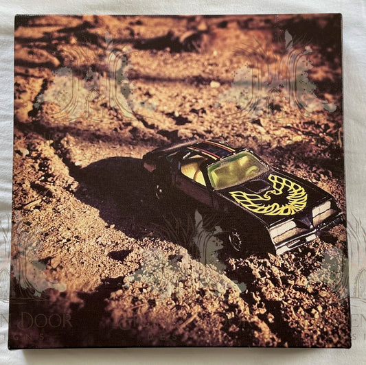 Off-Roading in Our Trans-Am (12x12x1 Canvas Framed Photo)