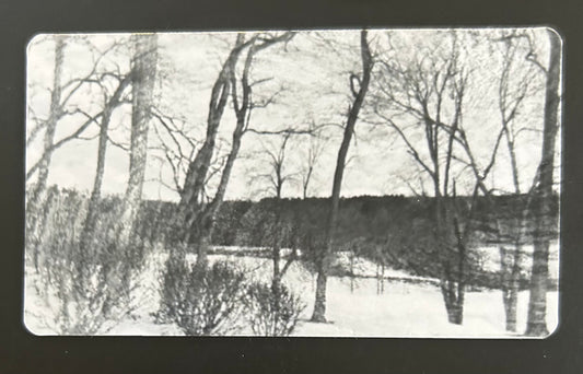 Magnet - Black and White Trees in the Snow