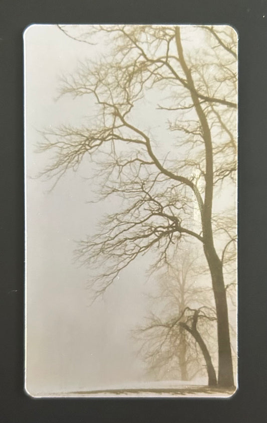 Magnet - Sepia-Toned Trees