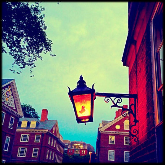 12x12 Bird in Lamp - Cambridge MA