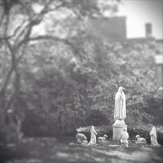 12x12 Statue of Mary - Boston, MA
