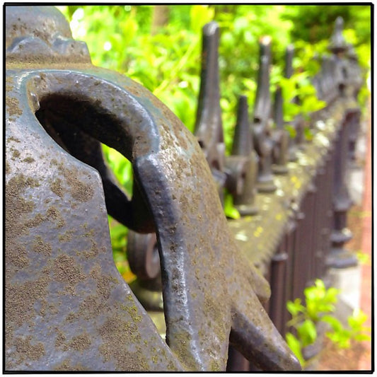 12x12 Closeup of Fence - Boston, MA