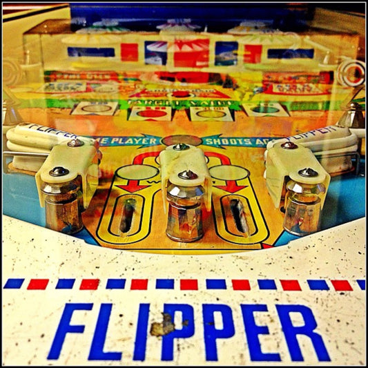 12x12 Flipper - Dryden MI