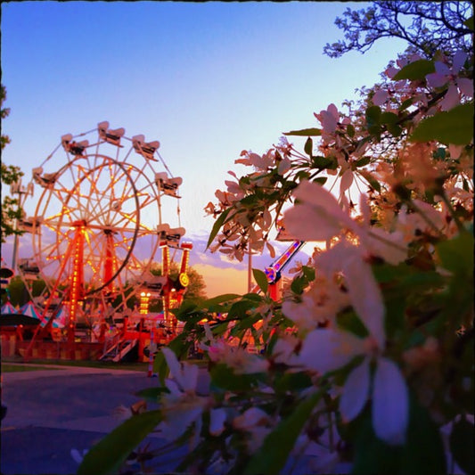 12x12 Ferris Wheel and Blooms - Berkley MI