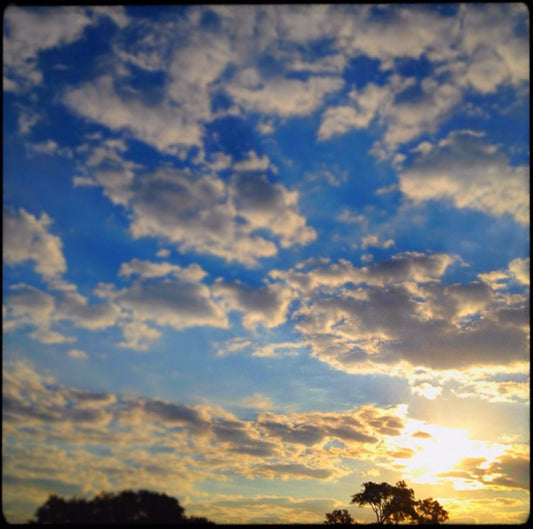 12x12 Sunrise and Blue Sky - Berkley MI