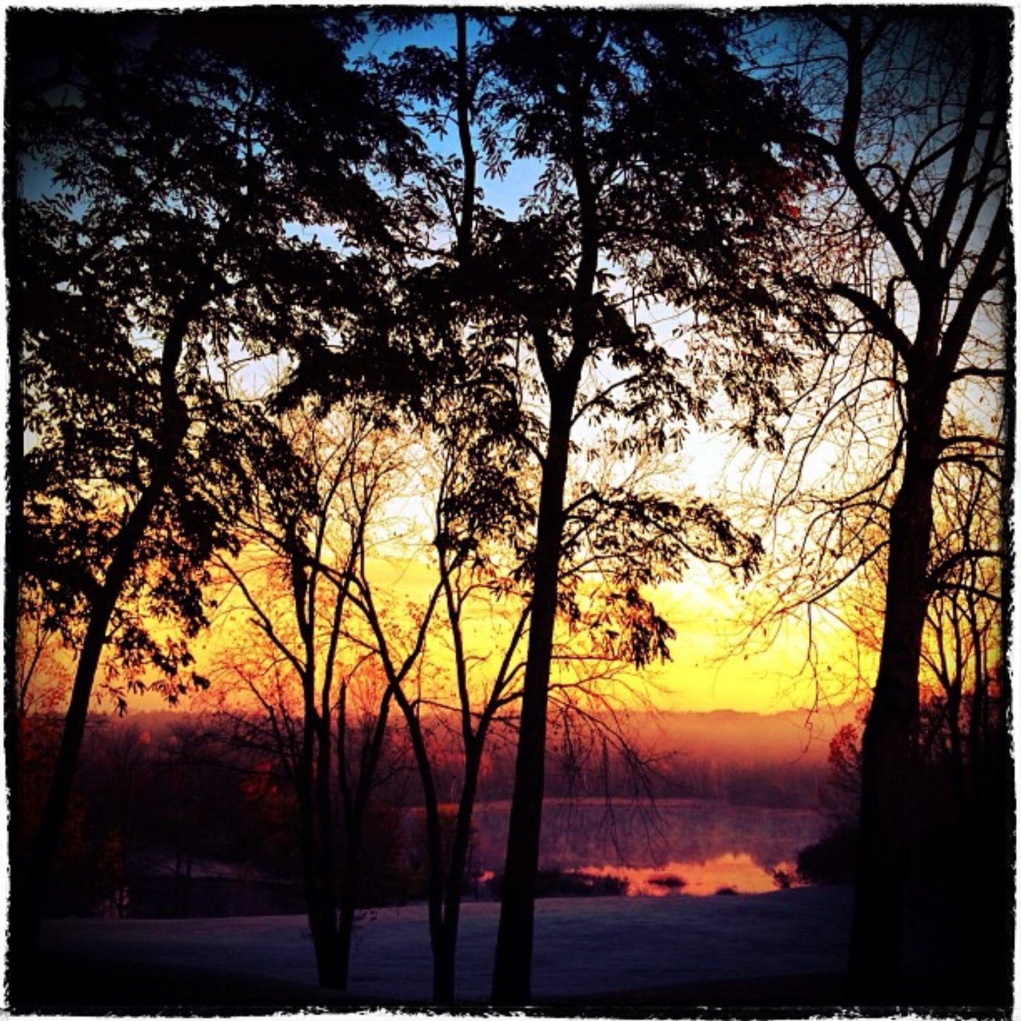 12x12 Sunrise in the Woods - Dryden MI