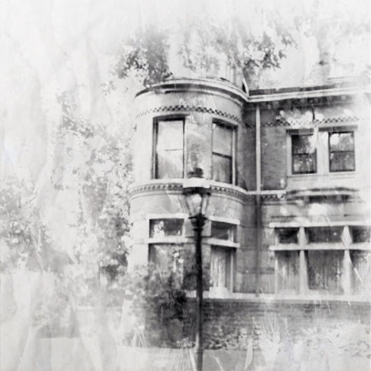 12x12 House in Black and White - Detroit MI